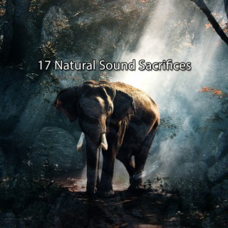 17 Natural Sound Sacrifices