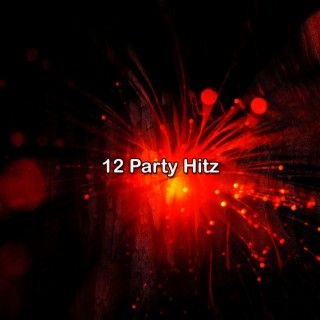 12 Party Hitz