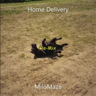 Home Delivery Re-Mix