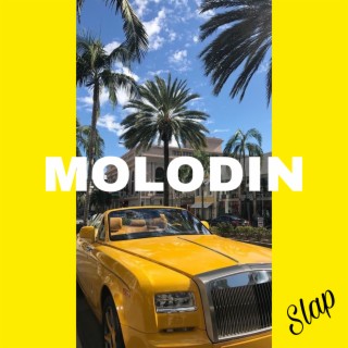 Molodin