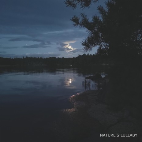 Nature's Lullaby | Boomplay Music