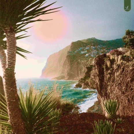 Palm Tree Cove | Boomplay Music