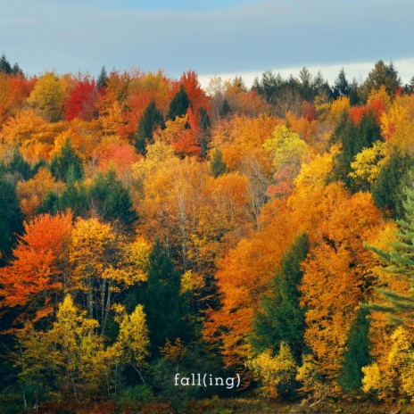 Fall(Ing) (Original Mix)