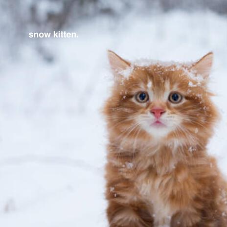 Snow Kitten