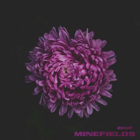 Minefields | Boomplay Music