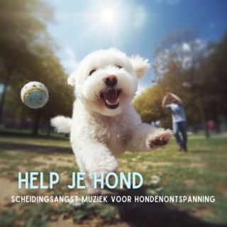 Scheidingsangst muziek voor hondenontspanning - Help je hond