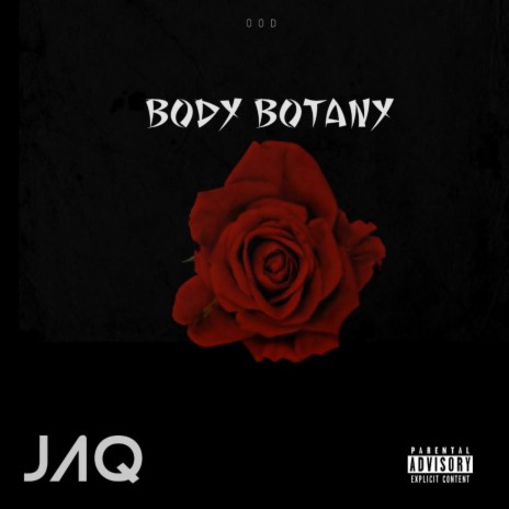 Body Botany | Boomplay Music