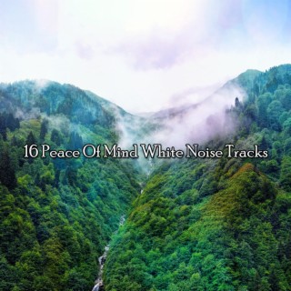 16 Peace Of Mind White Noise Tracks