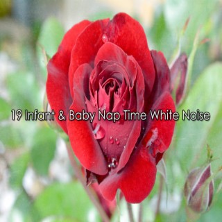 19 Infant & Baby Nap Time White Noise