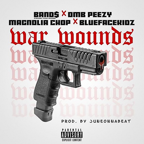 War Wounds ft. OMB Peezy, Magnolia Chop & Bluefacekidz | Boomplay Music