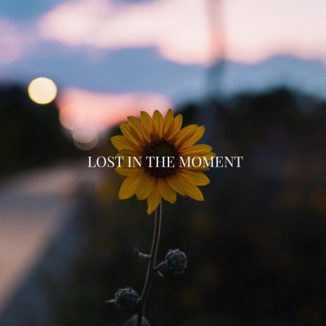 Lost in the Moment | Boomplay Music