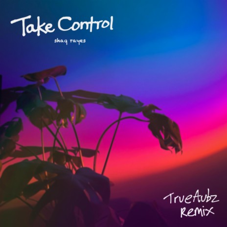 Take Control (Remix) ft. TrueAubz | Boomplay Music