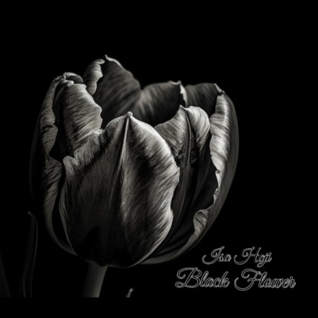 Black Flower | Boomplay Music