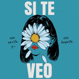 Si te veo lyrics | Boomplay Music