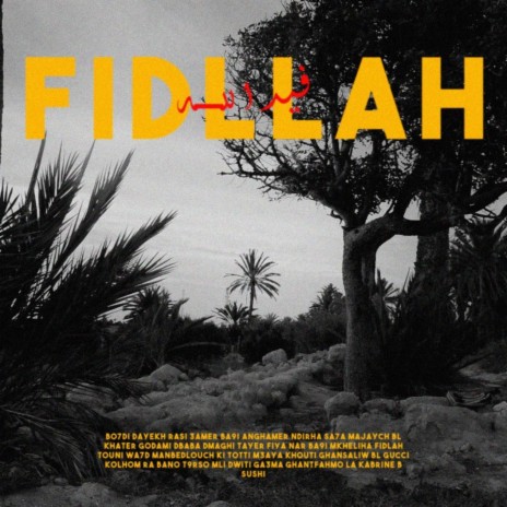 Fidllah ft. Bigdry | Boomplay Music