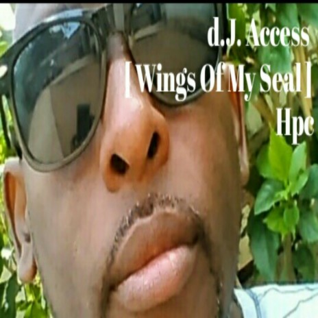 Wings Of My Seal | Boomplay Music