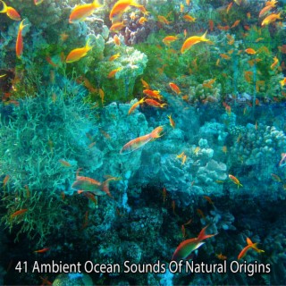 41 Ambient Ocean Sounds Of Natural Origins