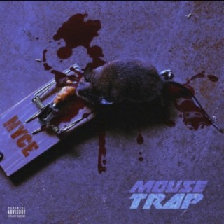 Mouse Trap lyrics | Boomplay Music