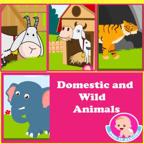 Domestic Animals Homes & Sounds ft. Bindi Mahesh