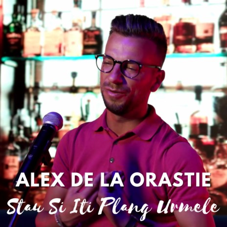 Stau Si Iti Plang Urmele (Cover) | Boomplay Music