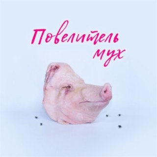 Повелитель мух