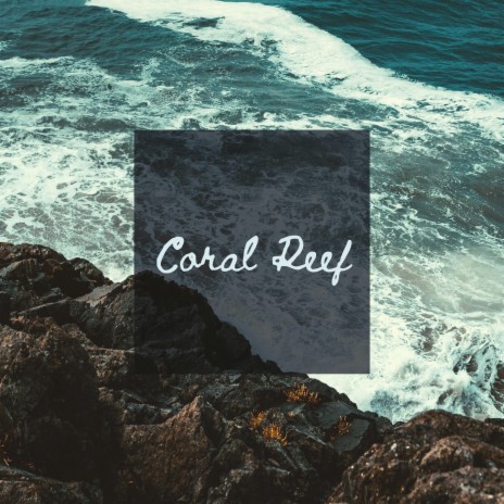Coral Reef | Boomplay Music