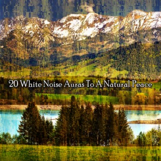 20 Auras de bruit blanc vers une paix naturelle