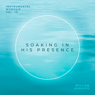 Soaking in His Presence, Vol. 15