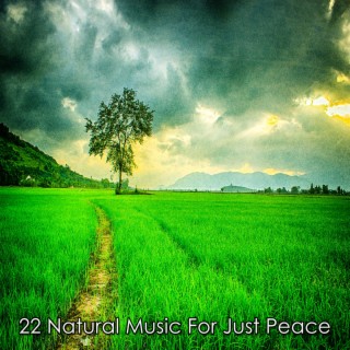 22 Natural Music For Just Peace