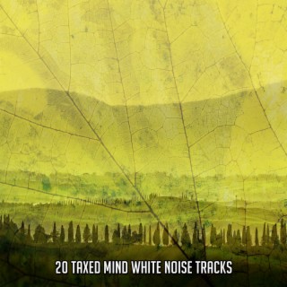 20 Taxed Mind White Noise Tracks