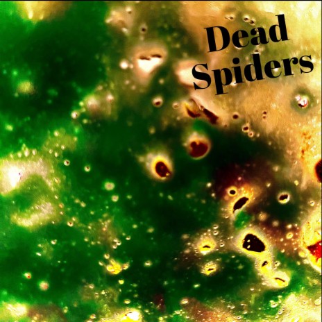 Dead Spiders | Boomplay Music