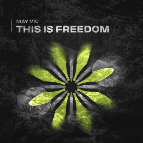This Is Freedom | Boomplay Music