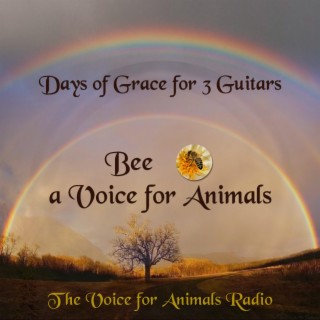 Days of Grace for 3 Guitars