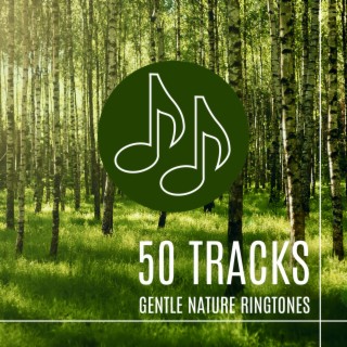 50 Tracks: Gentle Nature Ringtones – Morning Rain, Singing Birds, Soothing Waves Sounds
