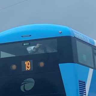 number 19 bus
