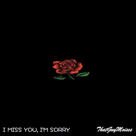 I MISS YOU, I'M SORRY