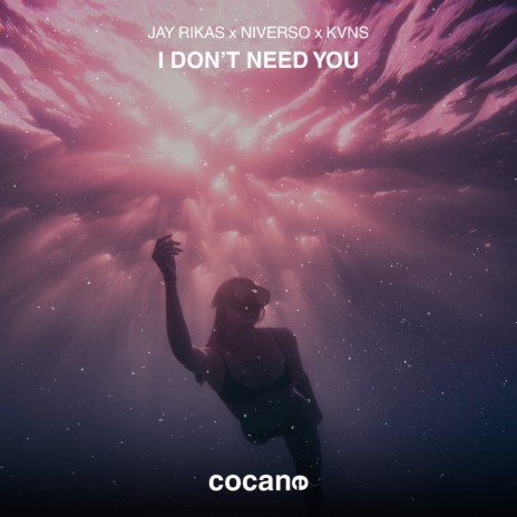 I Don't Need You ft. NIVERSO & KVNS | Boomplay Music