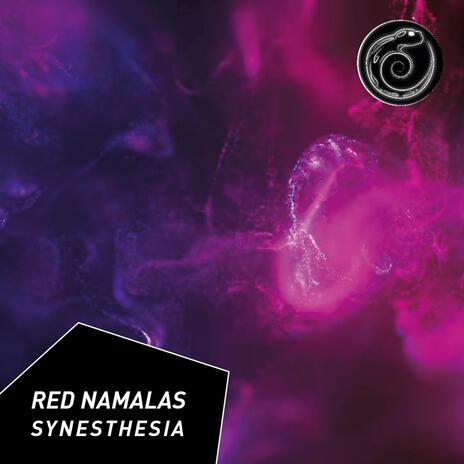 Synesthesia | Boomplay Music