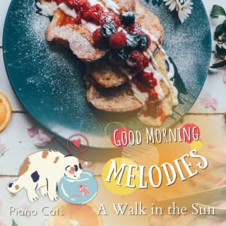 Good Morning Melodies - A Walk in the Sun