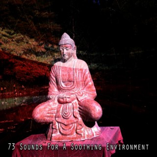 73 Sounds For A Soothing Environment