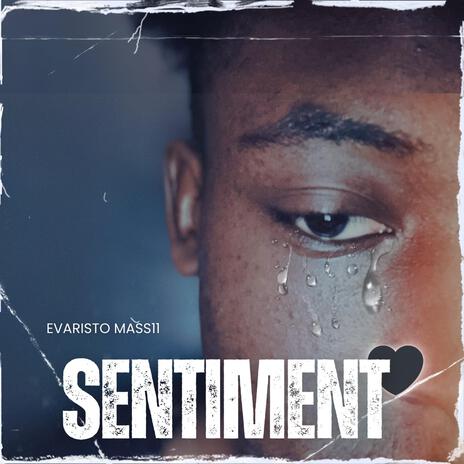 Sentiment | Boomplay Music