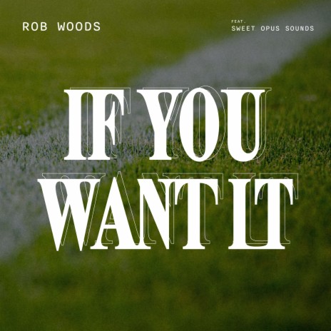 If You Want It ft. Sweet Opus Sounds | Boomplay Music