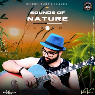 Rainy Day Music (Sounds of Nature Vol 1)