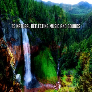 15 Musique et sons naturels reflétant