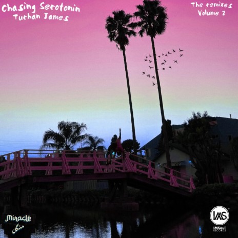 Chasing Serotonin (HASHAM Remix) ft. Miracle Mangal & HASHAM | Boomplay Music