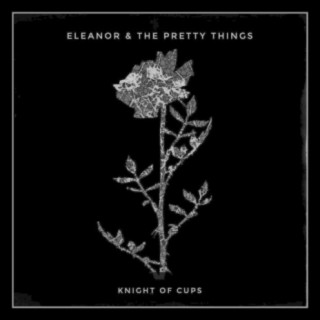 Eleanor & the Pretty Things