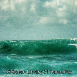 43 Ocean Library Of Tranquility