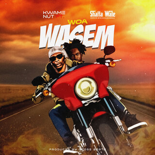 Woa Wasem ft. Shatta Wale lyrics | Boomplay Music