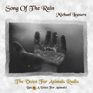 Song Of The Rain