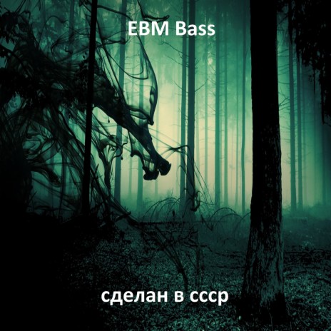Ebm Bass
